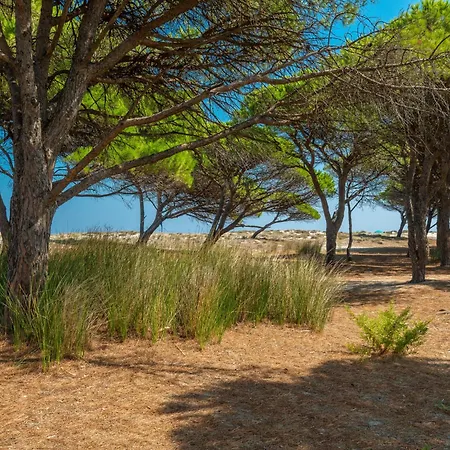 Le Dimore Di Budoni-2 By Interhome Apartment Limpiddu